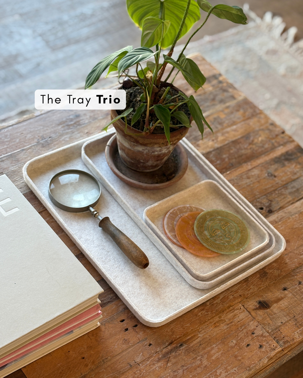 The Tray Trio 2.0