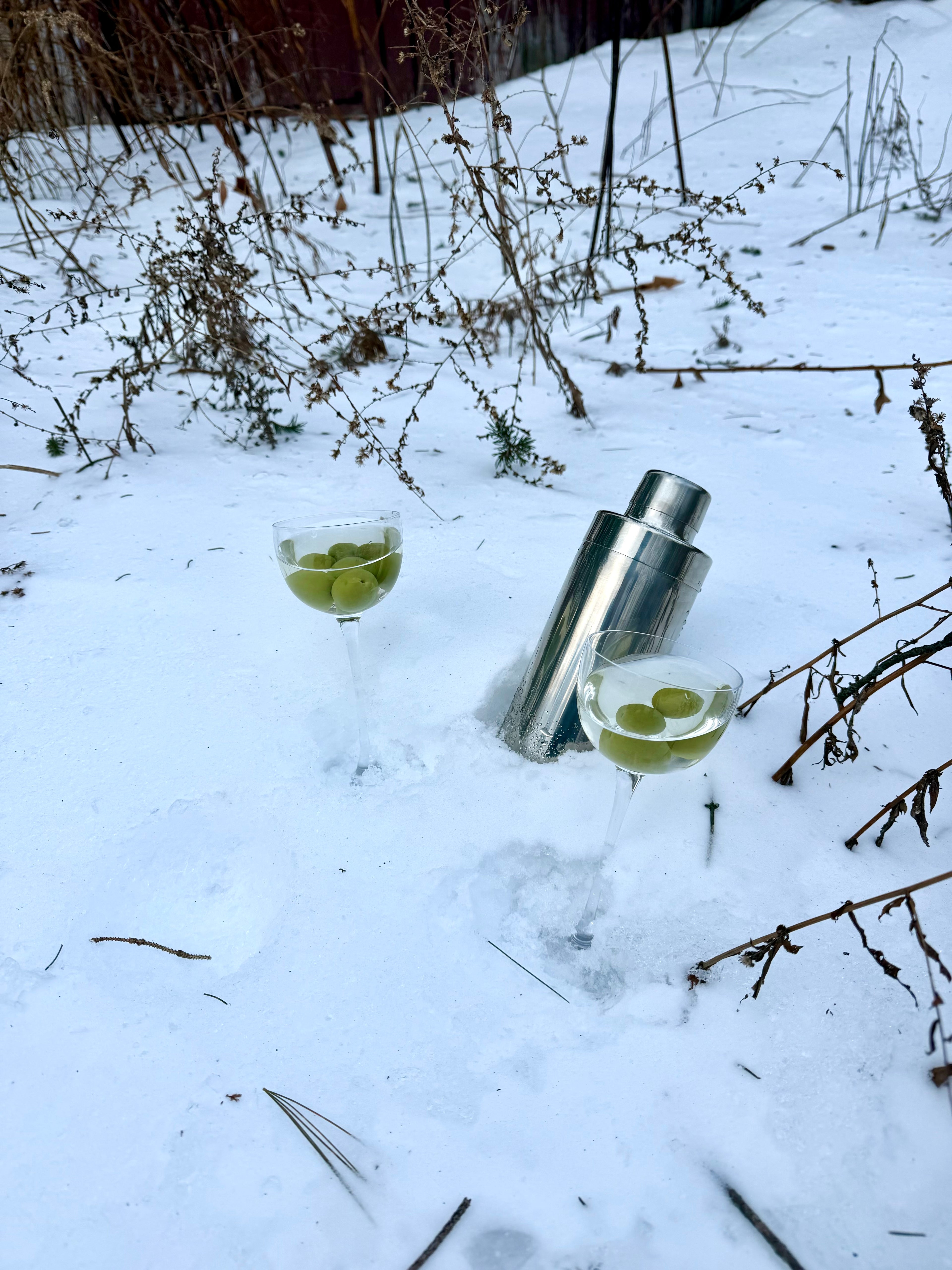 Harrison Element Cocktail Shaker