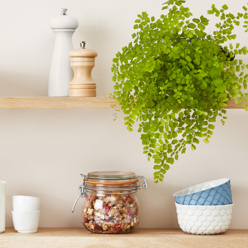 Le Parfait Super Jars | Various sizes & sets