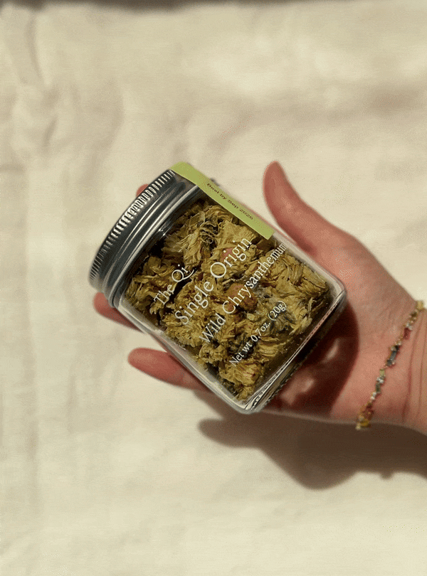 The Qi | Wild Chrysanthemum Tea