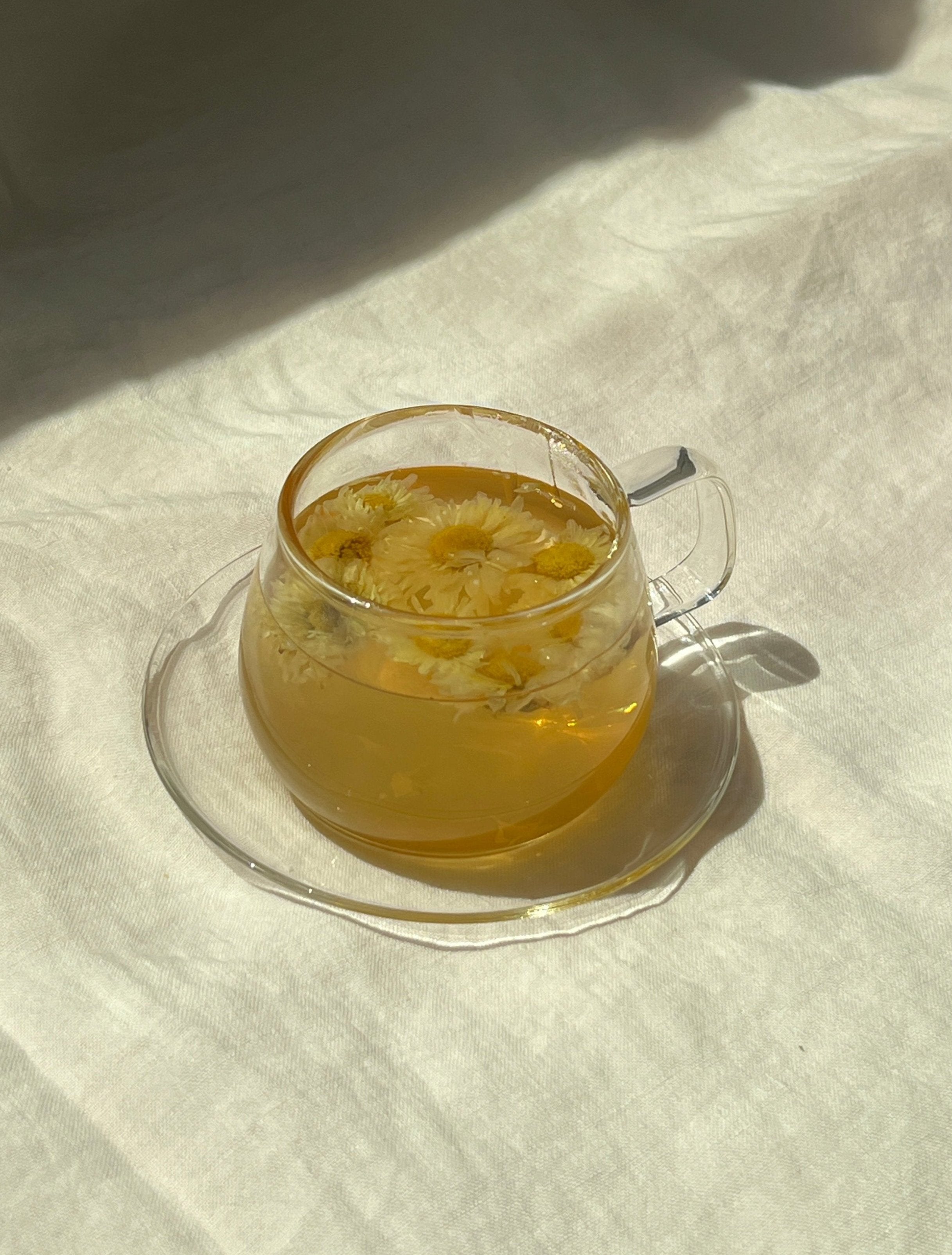 The Qi | Wild Chrysanthemum Tea