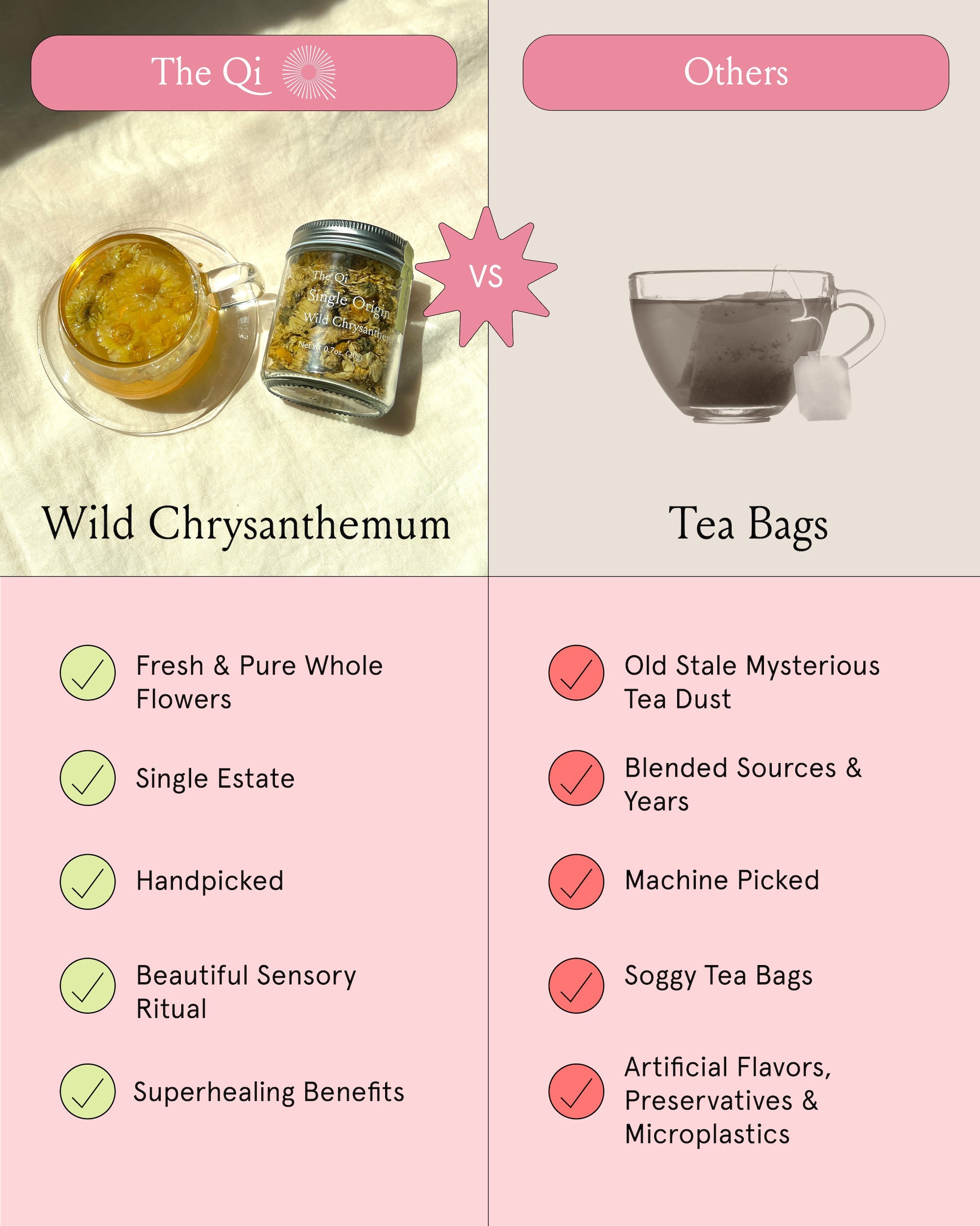 The Qi | Wild Chrysanthemum Tea