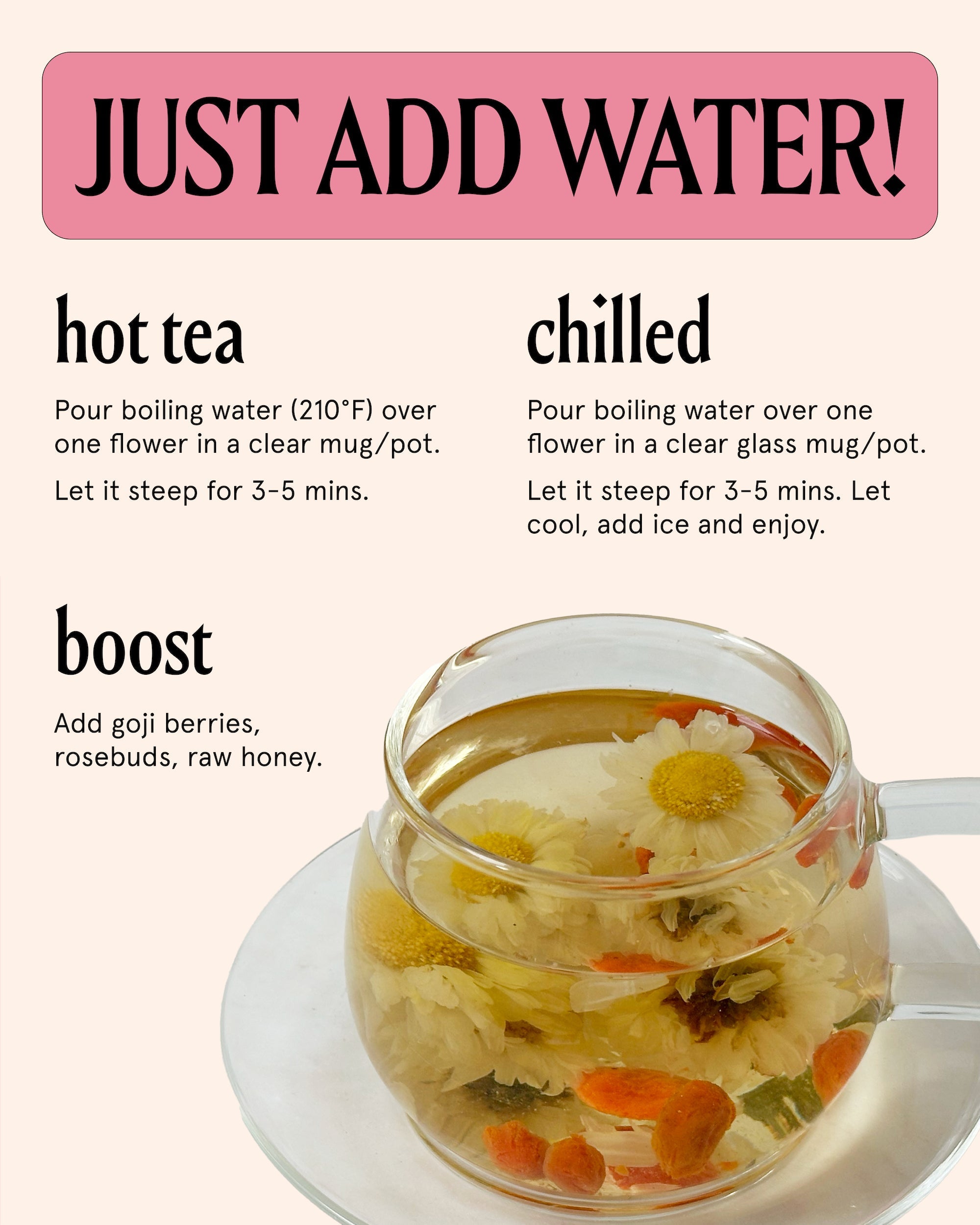 The Qi | Wild Chrysanthemum Tea