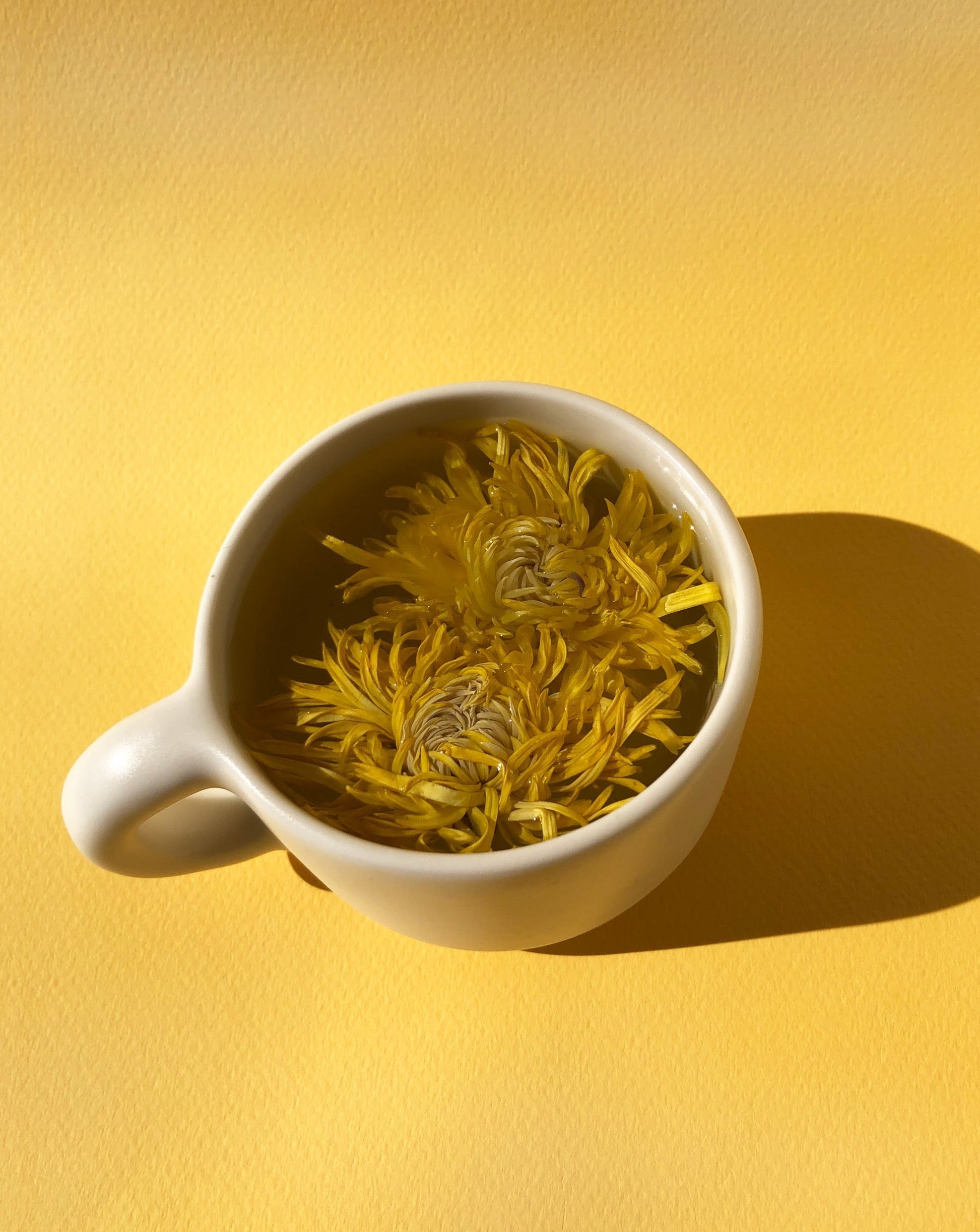 The Qi | Floral Collection Tea Variety Box